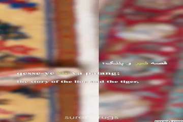 Video1-Frame6