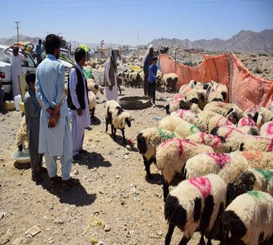 Eid al-Adha Eve in Khvorvandeh Village