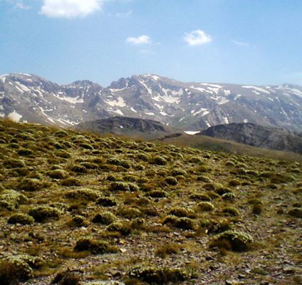 Eish-e Ala Mountain of Abarkuh