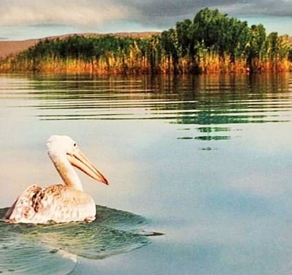 The Arjan and Parishan Biosphere Reserve is the oldest biosphere reserve in Iran.