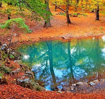Golestan Biosphere Reserve: A Showcase of Iran’s Wildlife