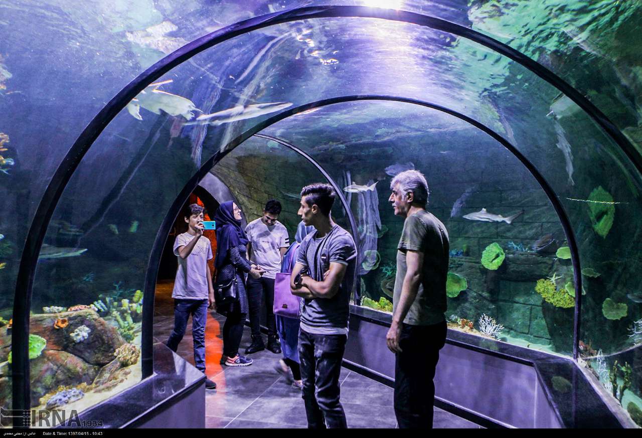 The Grand Aquarium of Bandar Anzali in Iran 