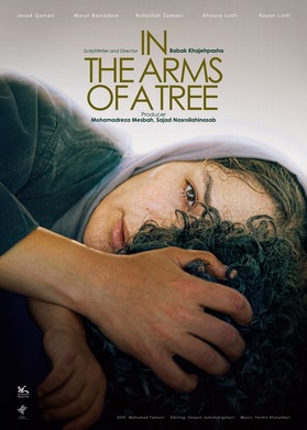 In the Arms of a Tree 