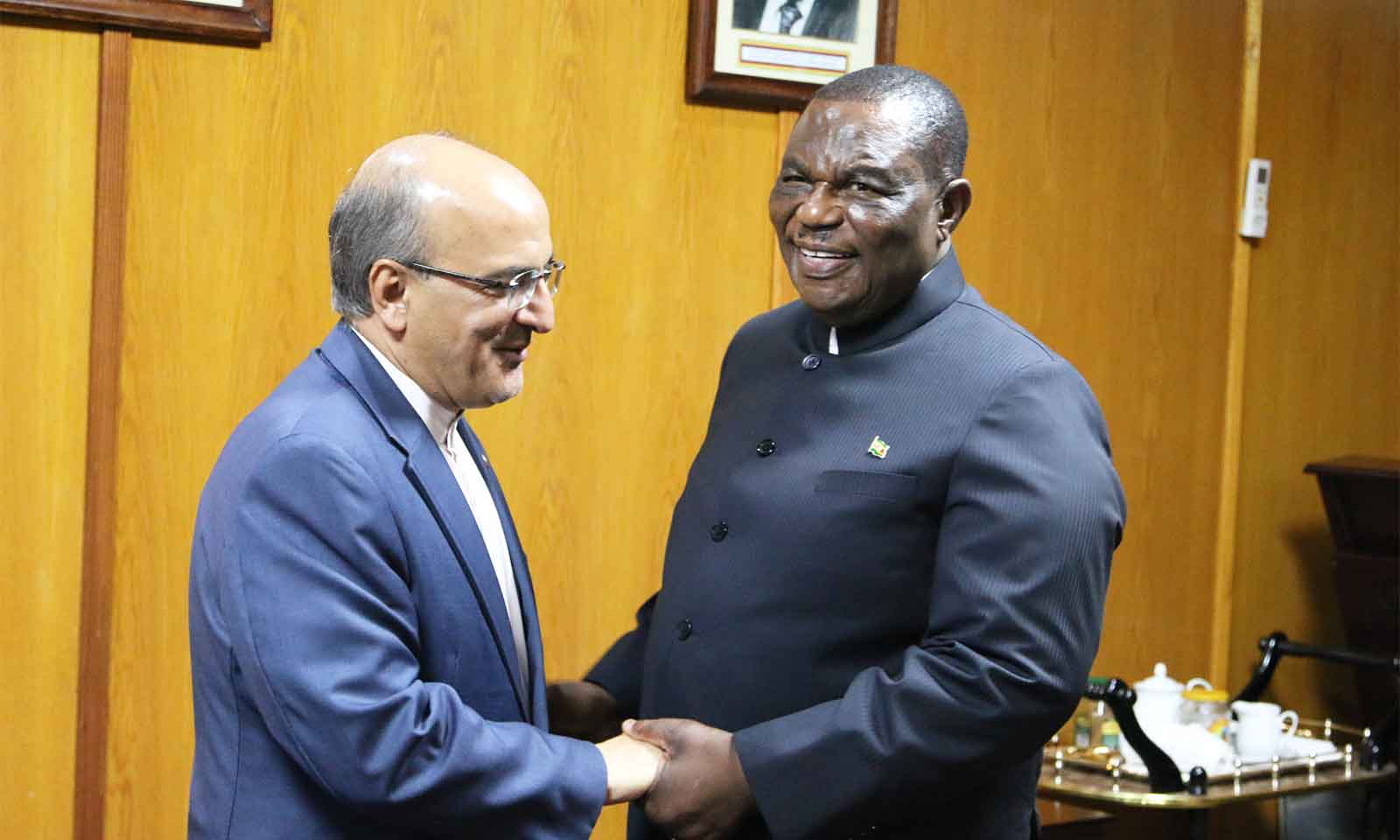 Iran seeks partnership with Zim to boost medical tourism