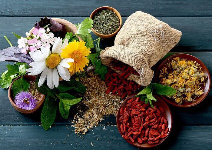 The Islamic Republic of Iran Ranks Third in Traditional Medicine Trials in ICTRP