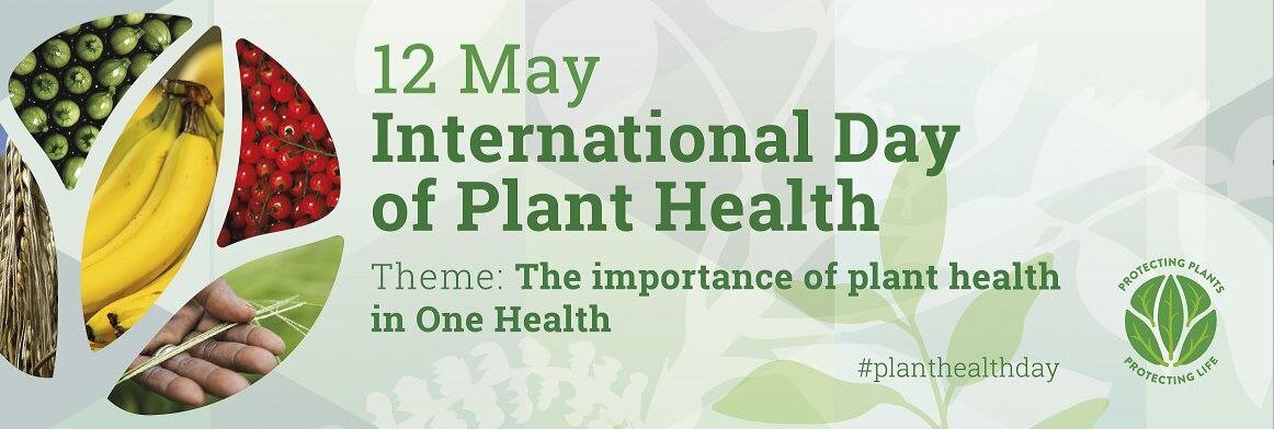 IRAN HONOURED THE  INTERNATIONAL DAY OF PLANT HEALTH- PROTECT PLANTS, PROTECT LIVES