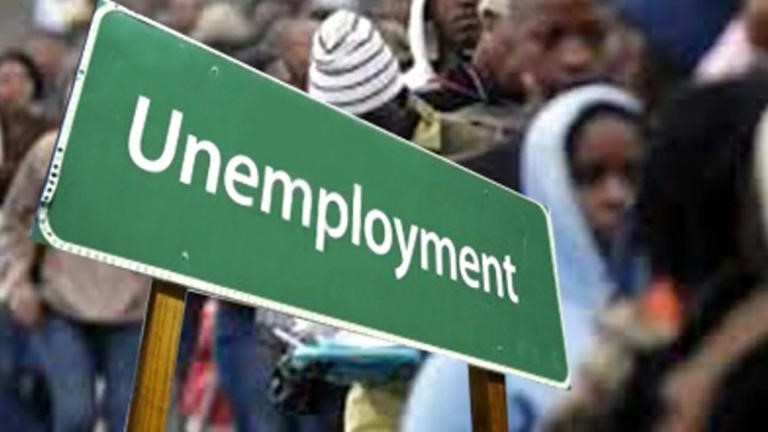 How education levels shape job prospects for South African youth