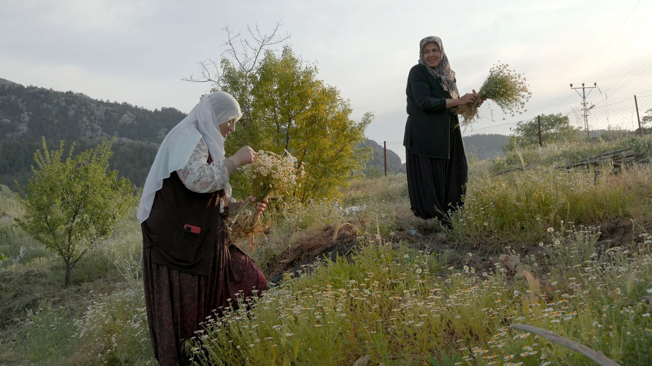 Five Iranian films to attend 38th International Documentary Film Festival Amsterdam