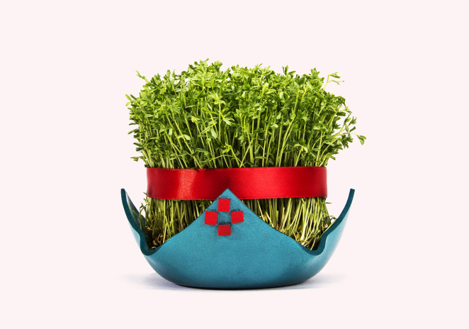 Nowruz Sabzeh: Green Sprouts