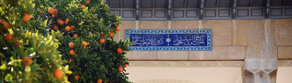 The View of the People Shiraz about Seville Orange Tree