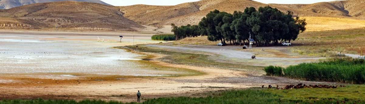 Quri Gol Wetland