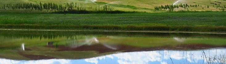 Yaniq Wetland