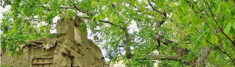 Sardroud — A Land of Beautiful Nature and a Historic Fortress Still Shrouded in Mystery