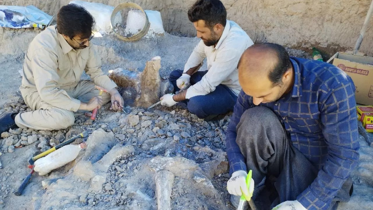 Fossil Site of Maragheh