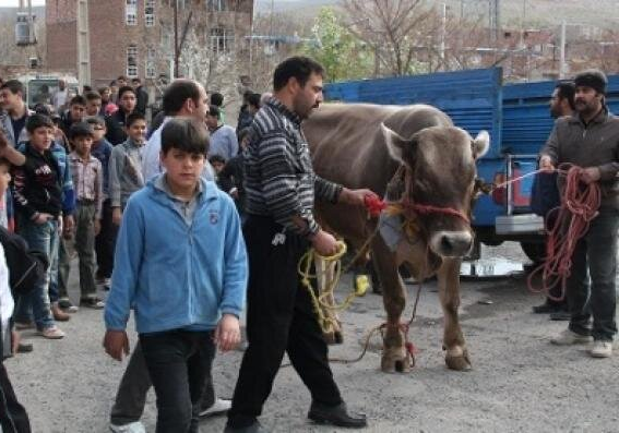 36th Day of the Spring in Esfanjan