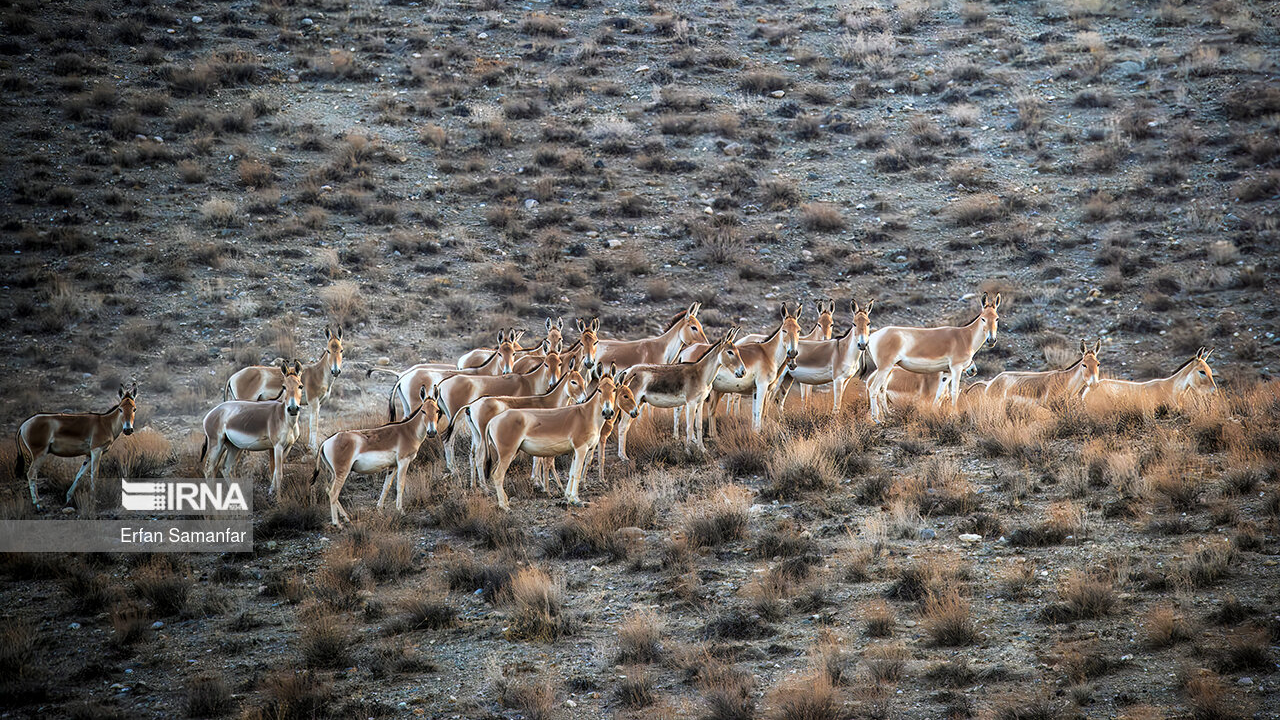 Bahram-e Gur Protected Area