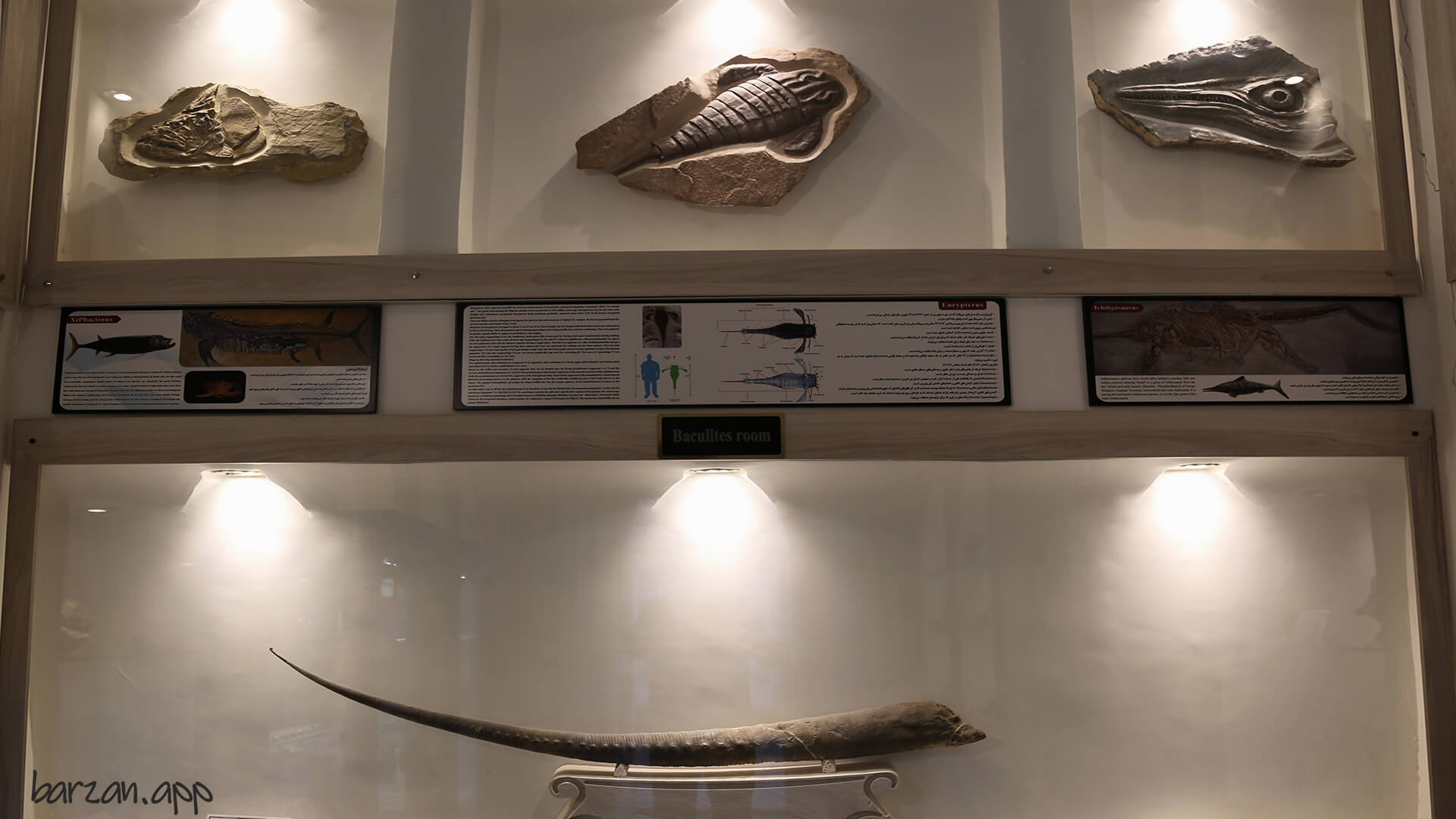 Cambrian Paleontology Museum