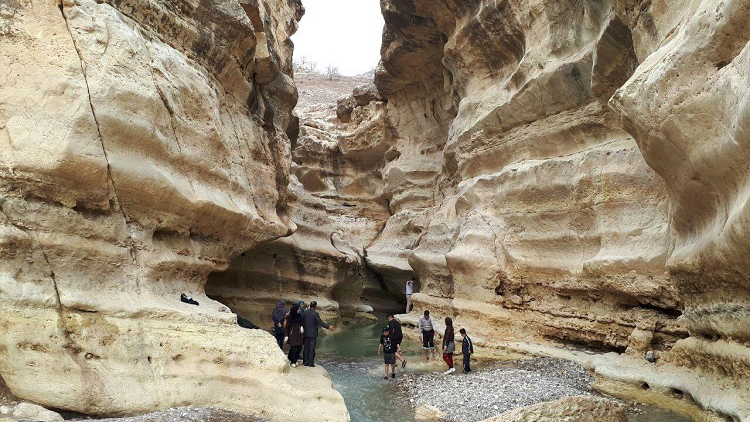 Razianeh (Fennel) Gorge of Ilam Province