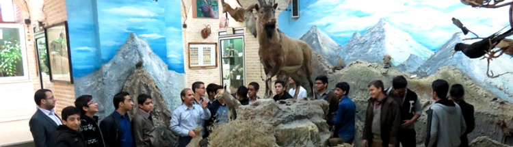 Natural Science Museum of Yazd