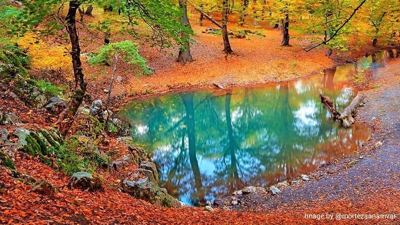 Golestan Biosphere Reserve: A Showcase of Iran’s Wildlife
