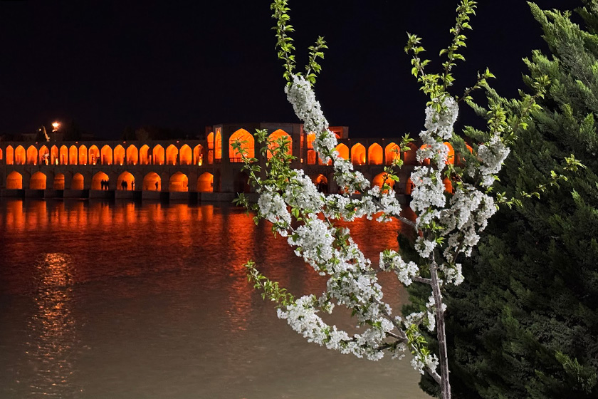mahtab-shahin-680362f54665d01f52cb72cb_1