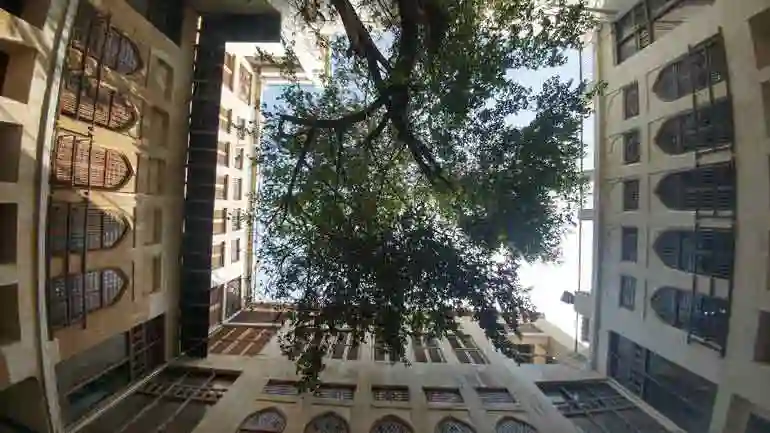 Google-Maps-عمارت-دهدشتی-بوشهر-5-copy_2